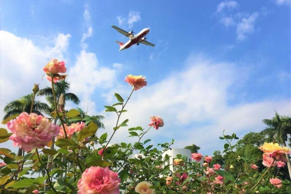 臺北玫瑰展（圖片來源︰「花IN台北」官網）