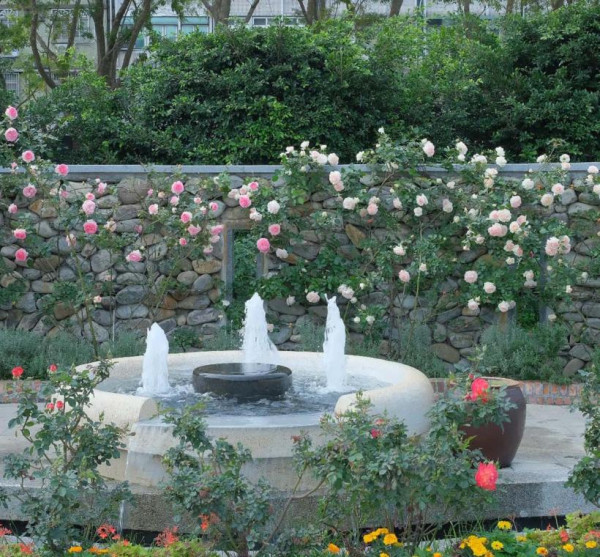 臺北玫瑰展（圖片來源︰「花IN台北」官網）