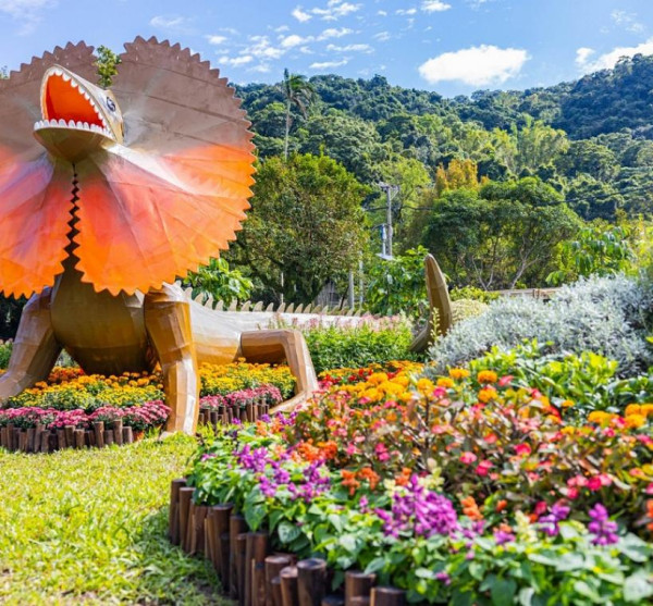 士林官邸菊展（圖片來源︰「花IN台北」官網）