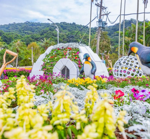 士林官邸菊展（圖片來源︰「花IN台北」官網）