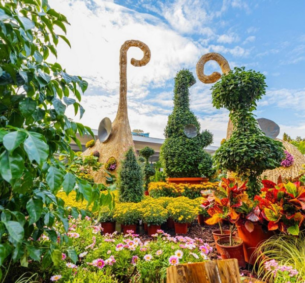 士林官邸菊展（圖片來源︰「花IN台北」官網）