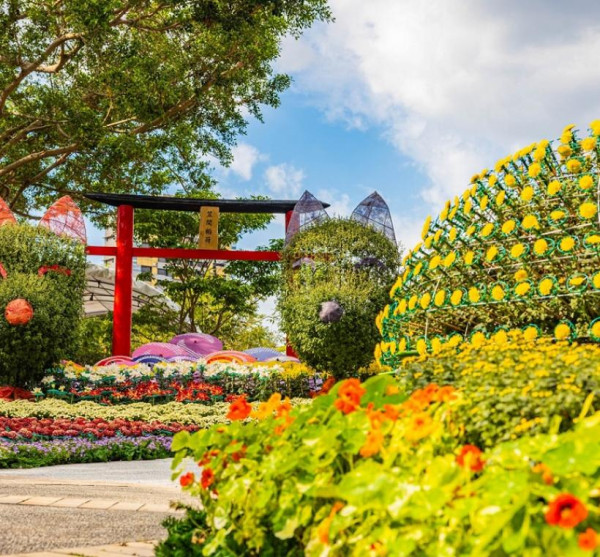 士林官邸菊展（圖片來源︰「花IN台北」官網）