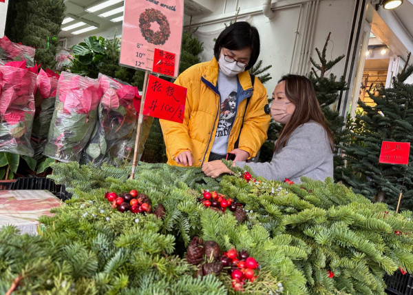 環保署發言人表示，是次計劃只限於回收天然聖誕樹。（資料圖片）