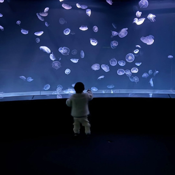 江若琳車禍後遊日散心曬全家福 老公蕭唯展「玩命式」留言反被讚窩心 