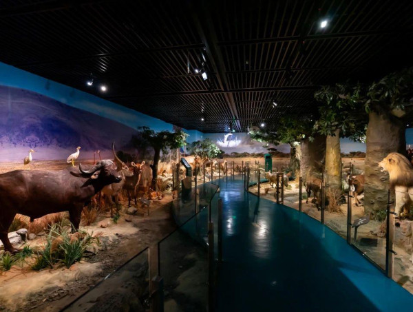 深圳博物館歷史民俗館（圖片來源：深圳發布微信公眾號）