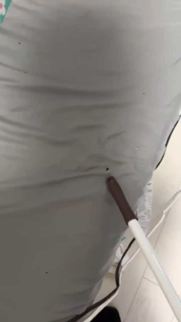 日本打工內地人呻港人嫌棄說普通話 網民批：你打工仲要客人遷就你？ 