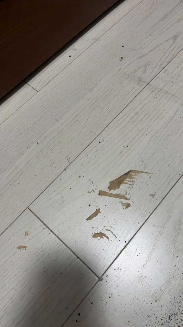 日本打工內地人呻港人嫌棄說普通話 網民批：你打工仲要客人遷就你？ 