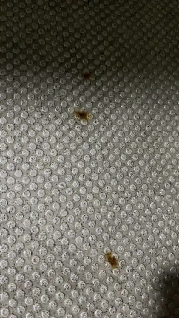 日本打工內地人呻港人嫌棄說普通話 網民批：你打工仲要客人遷就你？ 