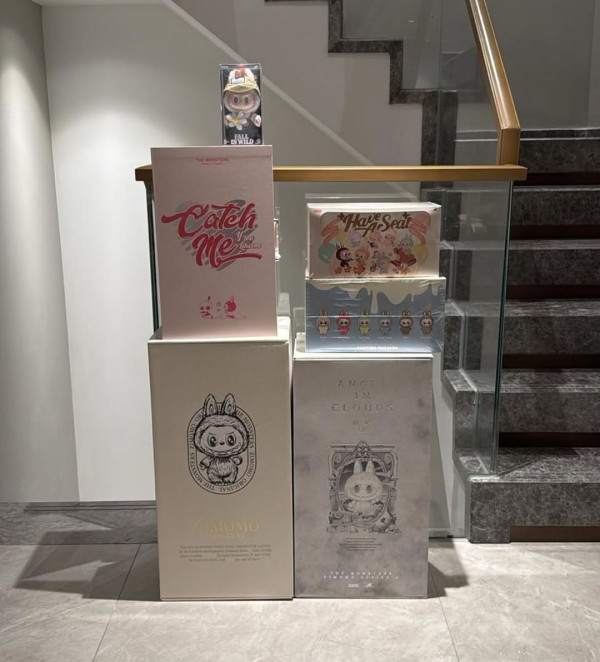 細細粒杭州2,000呎豪宅大公開 曾自認隱形富婆 物業遍布海外 