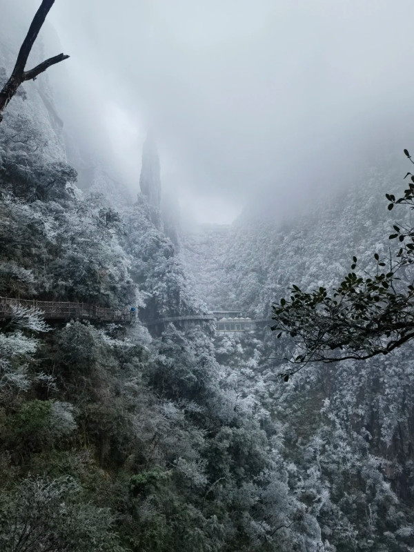 莽山國家森林公園（圖片來源：小紅書@太陽魚）