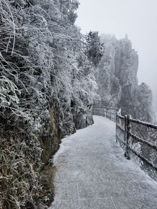 莽山國家森林公園（圖片來源：小紅書@太陽魚）