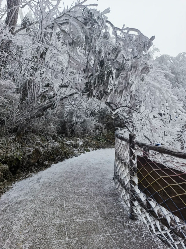 莽山國家森林公園（圖片來源：小紅書@太陽魚）