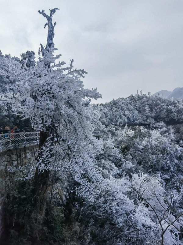 莽山國家森林公園（圖片來源：小紅書@太陽魚）