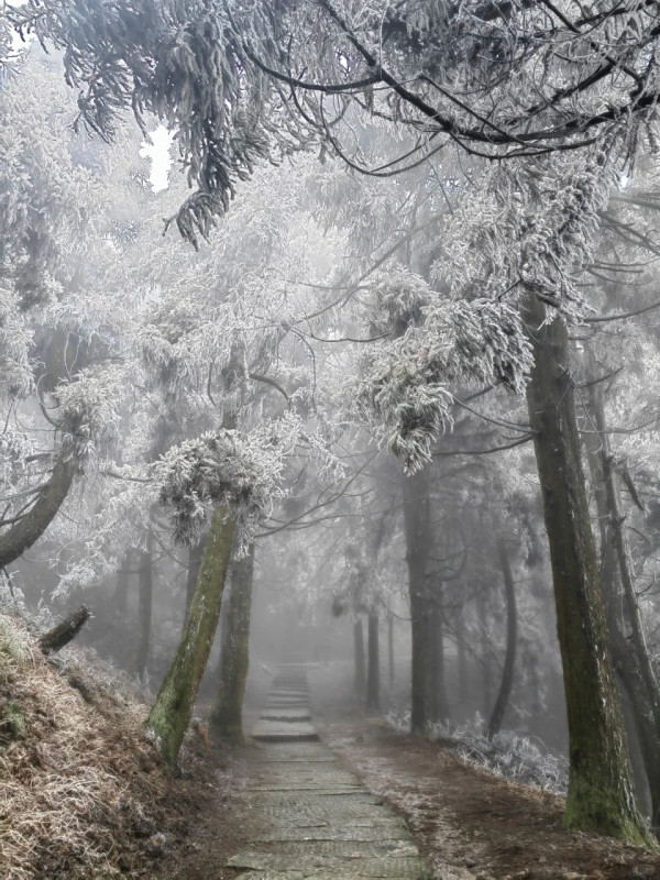 湖南南嶽衡山（圖片來源：小紅書@猛大星）