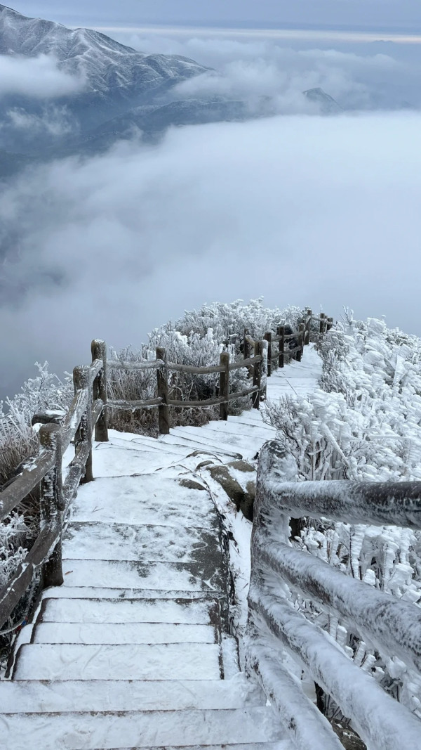 金子山（圖片來源：小紅書@脆汁雞好好恰）