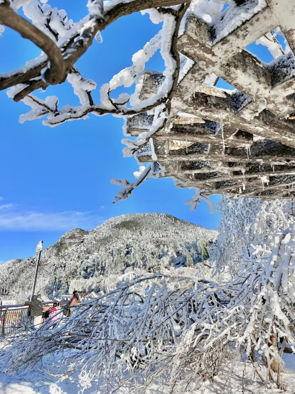 江西廬山（圖片來源：小紅書@子非鱼）