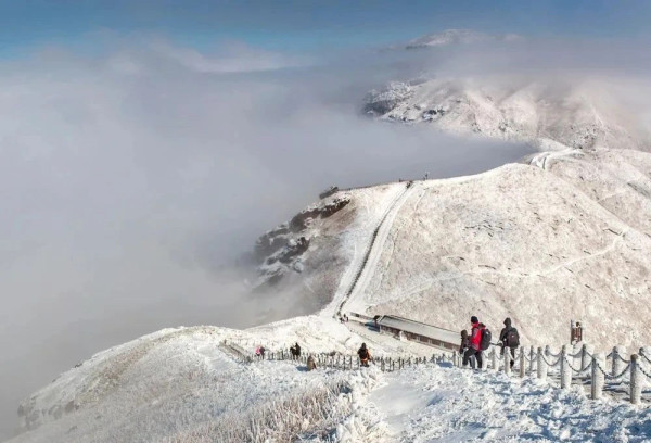 江西武功山（圖片來源：微博＠萍鄉武功山景區）