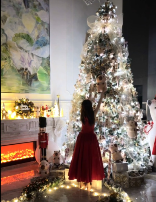 阿嬌北京豪宅內貌大公開！曬CHANEL聖誕樹獲讚有儀式感 