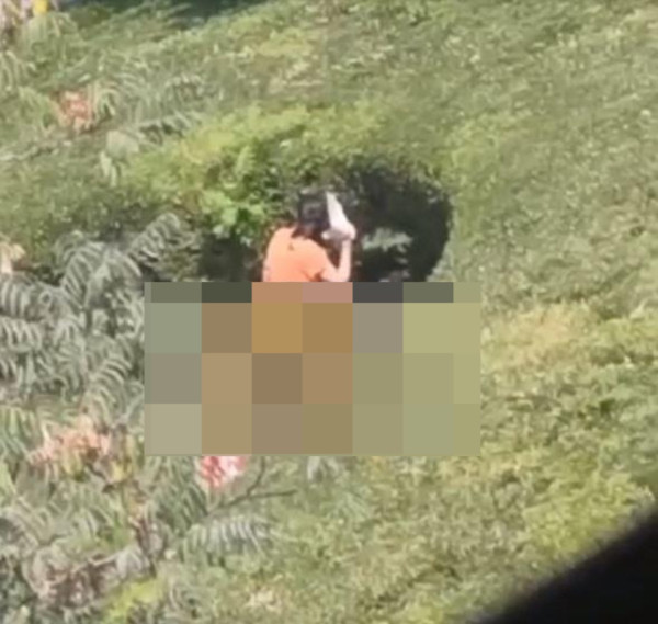 男女草坪巨坑公然上演活春宮 激戰地點竟意外成打卡熱點!