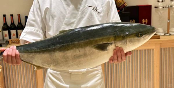 深圳燒鰻魚餐廳推薦｜烤鰻魚專門店7大推介 鰻魚放題/一鰻三食/炭燒鰻魚人均¥1XX起 