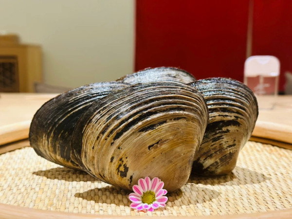 深圳燒鰻魚餐廳推薦｜烤鰻魚專門店7大推介 鰻魚放題/一鰻三食/炭燒鰻魚人均¥1XX起 