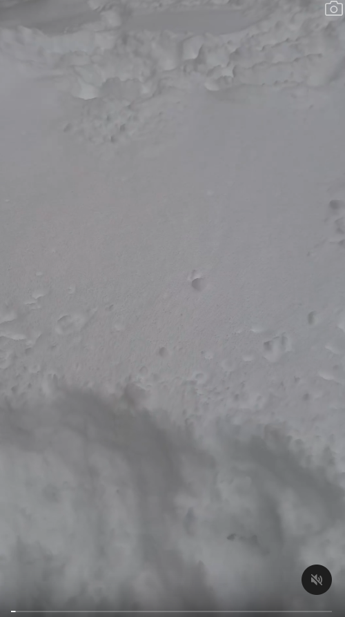 有片|內地男為流量亂入日本馬拉松 無視現場職員阻止 中日網民齊炮轟