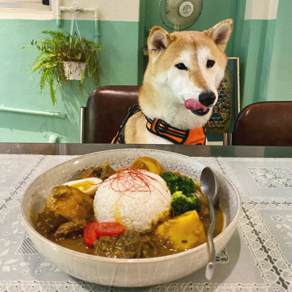 台北赤峰街逛街地圖|20間赤峰街美食CAFE+服飾店!台北No.1肉桂捲/古著店/鮮奶麻糬