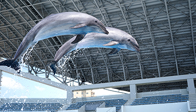 2024日本Yahoo年度檢索排行榜!15大必去旅遊景點 東京迪士尼新園區、豐洲千客萬來上榜