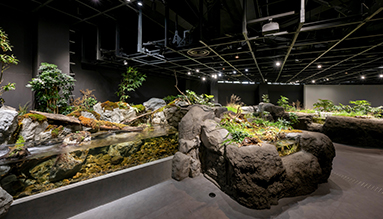 2024日本Yahoo年度檢索排行榜!15大必去旅遊景點 東京迪士尼新園區、豐洲千客萬來上榜