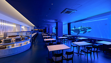 2024日本Yahoo年度檢索排行榜!15大必去旅遊景點 東京迪士尼新園區、豐洲千客萬來上榜