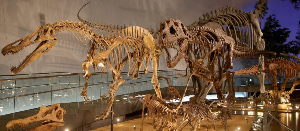 2024日本Yahoo年度檢索排行榜!15大必去旅遊景點 東京迪士尼新園區、豐洲千客萬來上榜