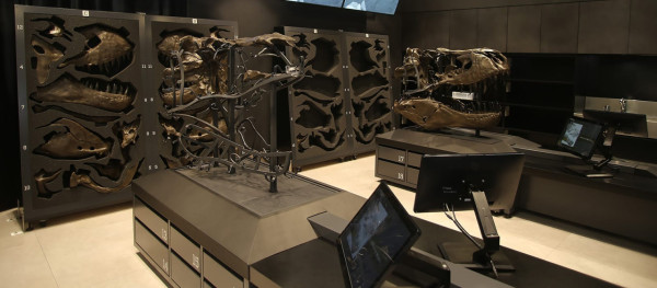 2024日本Yahoo年度檢索排行榜!15大必去旅遊景點 東京迪士尼新園區、豐洲千客萬來上榜