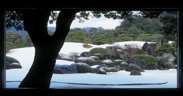 2024日本Yahoo年度檢索排行榜!15大必去旅遊景點 東京迪士尼新園區、豐洲千客萬來上榜