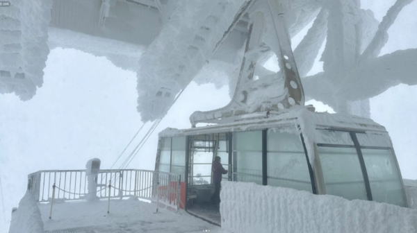 有片|內地男為流量亂入日本馬拉松 無視現場職員阻止 中日網民齊炮轟