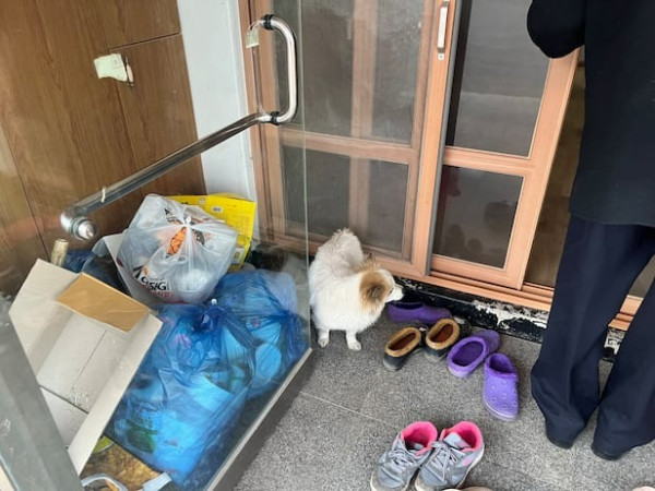 Source：朝鮮日報