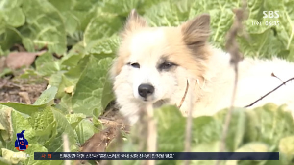 西藏6.8級地震｜事發時驚悚影片曝光 持續餘震 至少53人死亡 