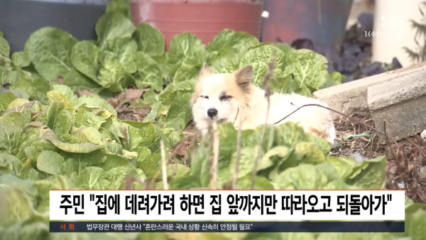 西藏6.8級地震｜事發時驚悚影片曝光 持續餘震 至少53人死亡 