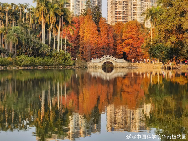 華南植物園(圖片來源:中國科學院華南植物園) 華南植物園(圖片來源:中國科學院華南植物園)