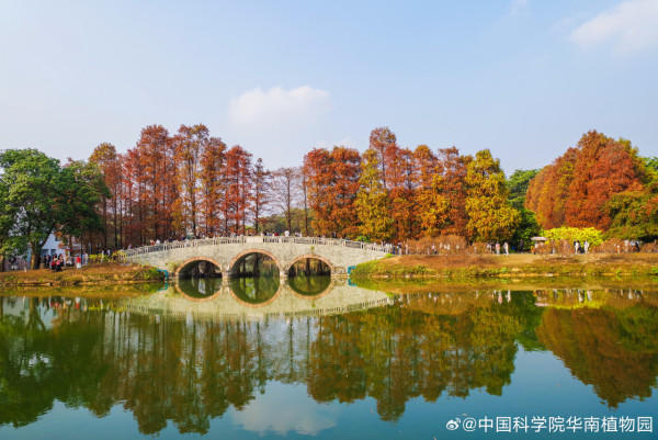華南植物園(圖片來源:中國科學院華南植物園) 華南植物園(圖片來源:中國科學院華南植物園)
