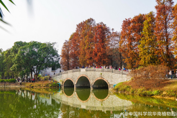 華南植物園(圖片來源:中國科學院華南植物園) 華南植物園(圖片來源:中國科學院華南植物園)