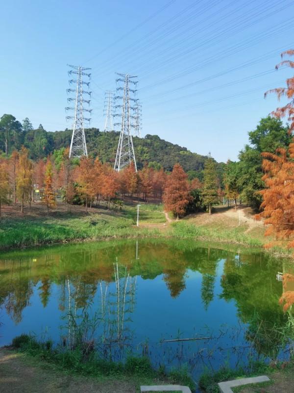 大觀濕地公園(圖片來源:小紅書@梁辰思宇) 大觀濕地公園(圖片來源:小紅書@梁辰思宇)