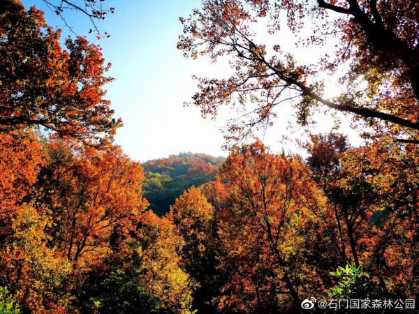 石門國家森林公園(圖片來源:微博@石門國家森林公園) 石門國家森林公園(圖片來源:微博@石門國家森林公園)