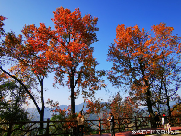 石門國家森林公園(圖片來源:微博@石門國家森林公園) 石門國家森林公園(圖片來源:微博@石門國家森林公園)