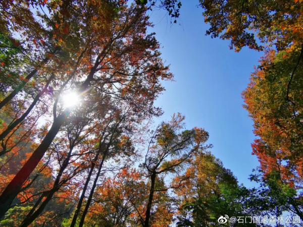 石門國家森林公園(圖片來源:微博@石門國家森林公園) 石門國家森林公園(圖片來源:微博@石門國家森林公園)
