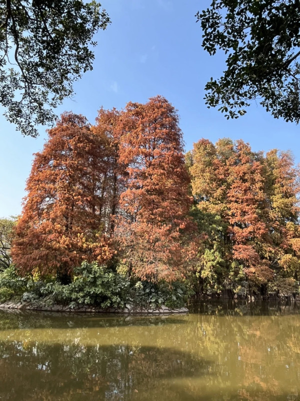 天河公園(圖片來源:小紅書@巴啦啦小魔仙) 天河公園(圖片來源:小紅書@巴啦啦小魔仙)