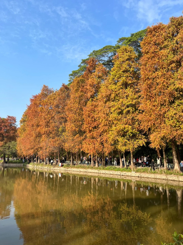 天河公園(圖片來源:小紅書@巴啦啦小魔仙) 天河公園(圖片來源:小紅書@巴啦啦小魔仙)