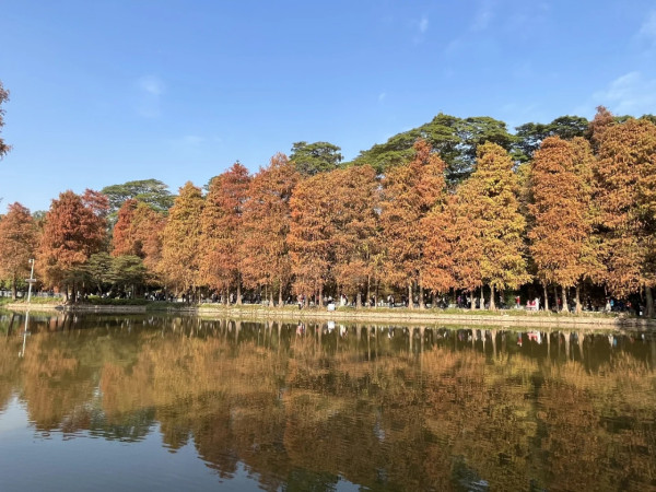 天河公園(圖片來源:小紅書@巴啦啦小魔仙) 天河公園(圖片來源:小紅書@巴啦啦小魔仙)