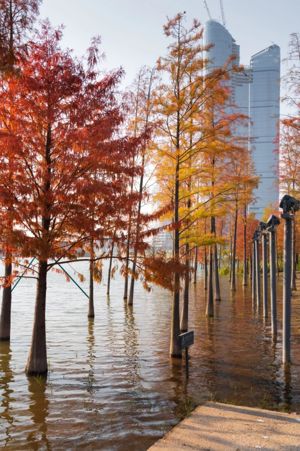 九龍湖公園(圖片來源:小紅書@Honcoeng) 九龍湖公園(圖片來源:小紅書@Honcoeng)