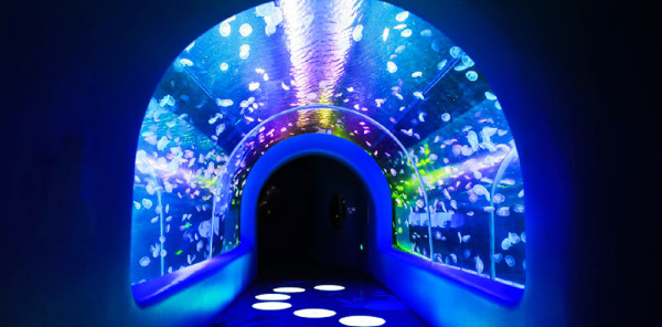 深圳地鐵13號線開通！ 直達深圳灣口岸｜鄰近食玩攻略 