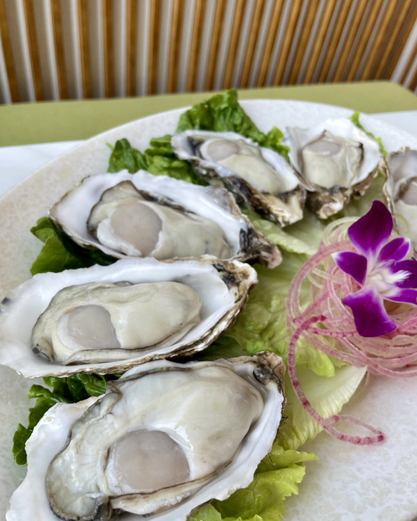 深圳地鐵13號線開通！ 直達深圳灣口岸｜鄰近食玩攻略 